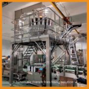Automatic Granule and Nuts Filling Machine