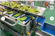 Semi-Automatic Net Bag Packaging Machine