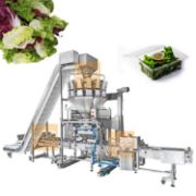 Automatic Sunflower Seeds Packing Machine – 200g Back Seal